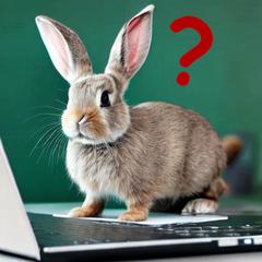 サービス提供画像の記録（２０２３年版）