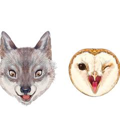 動物肖像イラスト