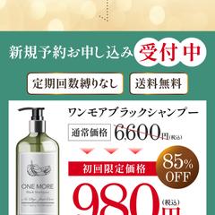 白髪ケアシャンプー 商品販売LP