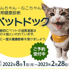 動物病院広告