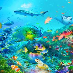 写真を加工して作ったイラスト