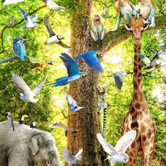 写真を組み合わせて作ったアート