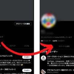 Twitterでのフォロワー増加の実績