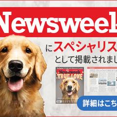 広告バナー
