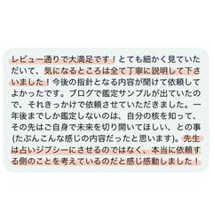 .*·.⟡┈ご感想┈⟡.·*.