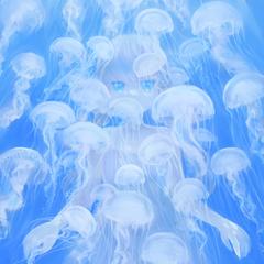 海の中