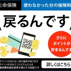 生命保険サンプルデザイン