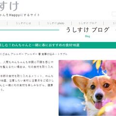旬の食材楽しむ！わんちゃんと一緒に春におすすめの食材16選