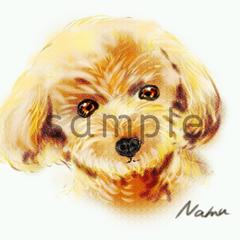 リアルタッチなトイプードル