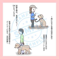 盲導犬についてのSNS用投稿画像