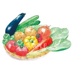 農業系専門学校の広告用イラスト