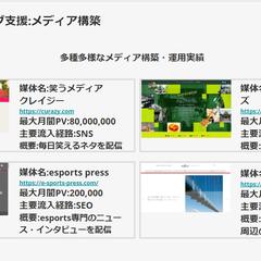 マーケティング支援：メディア構築