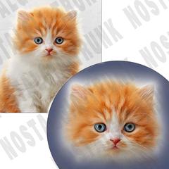 ペットの切り抜き