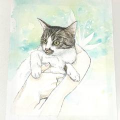 アナログペットイラスト