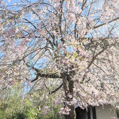 今の苦しさは「愛されていないから」じゃない(*˘︶˘*)