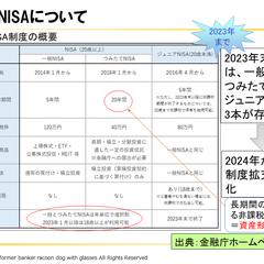 NISA説明資料