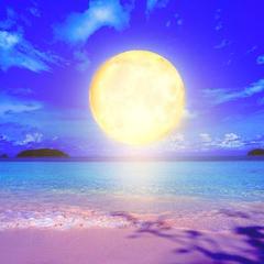 占い　霊視　鑑定　ヒーリング　波動修正　恋愛　仕事　子宝　