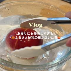 Vlog