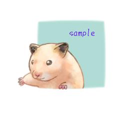 キンクマハムスター