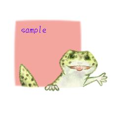 ヒョウモントカゲモドキ