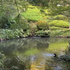 自然との対話　物事が進む