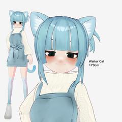 Waiter CAT
