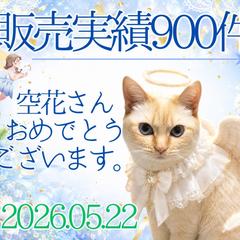 恋を照らす夜桜タロット＊桜夜 おはるさんからのプレゼントです
