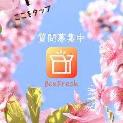 BoxFresh バナー