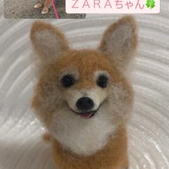 ZARAちゃん