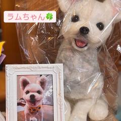 ラムちゃん