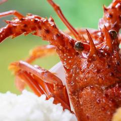 料理の宣材写真の撮影