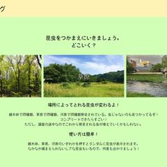 ミニアプリ「インセクトログ」