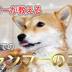 You Tubeサムネイル