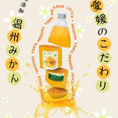 オリジナル　愛媛のみかんジュース