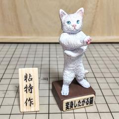 変身したがる猫