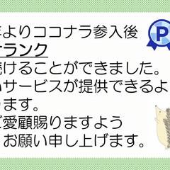 ココナラサービス実績