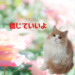 信頼できる親友、ご家族、お仲間がいますか？もしいたら、宝物✨