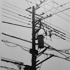 ボールペン画の電柱です。