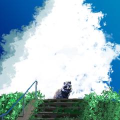 アイコン用イラスト作成
