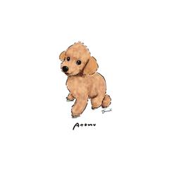 ペットイラスト