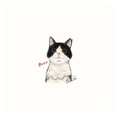 猫イラスト