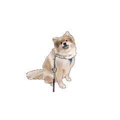 ペットのお写真をイラスト化！