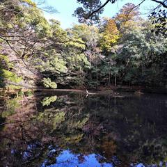 2026.1.28 伊勢神宮 日本と世界の平和を祈り