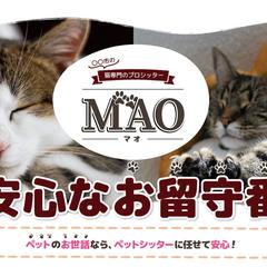 猫専門ペットシッター会社のLPを作成しました！