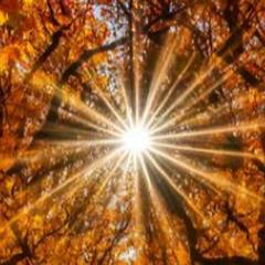 光の射す方へ導きます。夢を実現化しませんか？