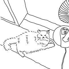 にゃんこ