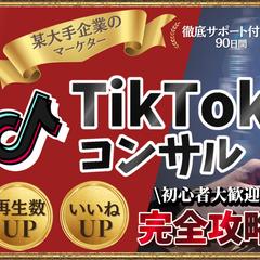 TikTokコンサル事業