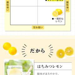 マイヤーレモン楽天画像制作