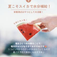 Canva使用/Instagram投稿