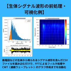 生体シグナル波形の前処理・ 可視化例